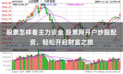 股票怎样看主力资金 股票网开户炒股配资，轻松开启财富之旅